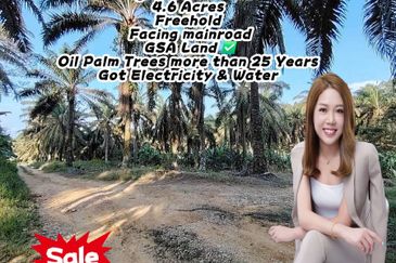 4.6 Acres Agriculture Land (Oil Palm Trees) @ Layang-Layang, Johor, Facing Main Road