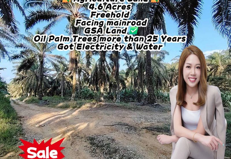 4.6 Acres Agriculture Land (Oil Palm Trees) @ Layang-Layang, Johor, Facing Main Road