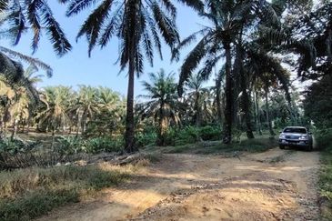 4.6 Acres Agriculture Land (Oil Palm Trees) @ Layang-Layang, Johor, Facing Main Road