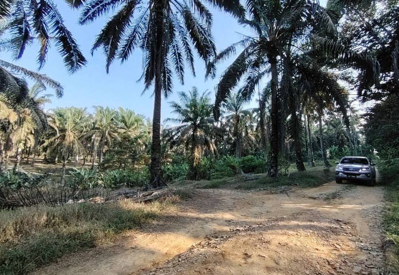 4.6 Acres Agriculture Land (Oil Palm Trees) @ Layang-Layang, Johor, Facing Main Road