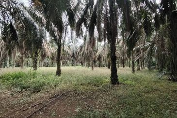 Kampung Seelong Jaya