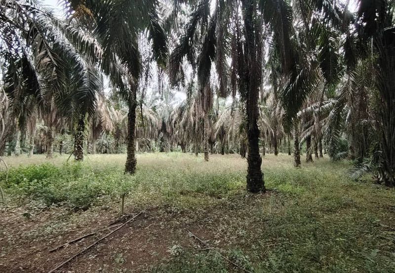 Kampung Seelong Jaya