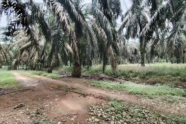 Kampung Seelong Jaya