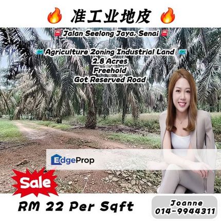 2.8 Acres Agriculture Zoning Industrial Land @ Jalan Seelong Jaya, Seelong, Senai, Johor, Near Senai Industry Area, Desa Idaman, Johor, Senai