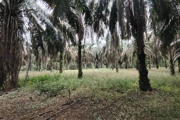 Kampung Seelong Jaya