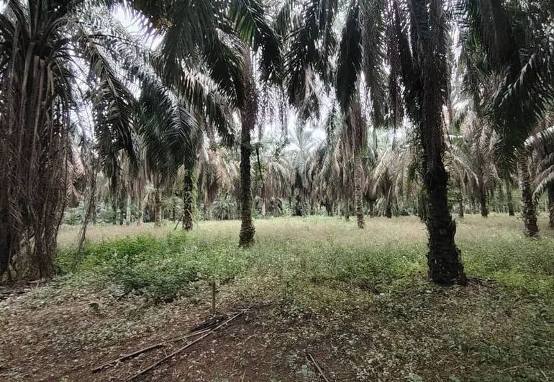 Kampung Seelong Jaya