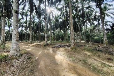 Senai Industrial Park