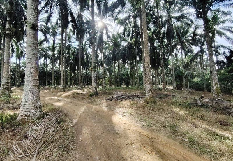 Senai Industrial Park