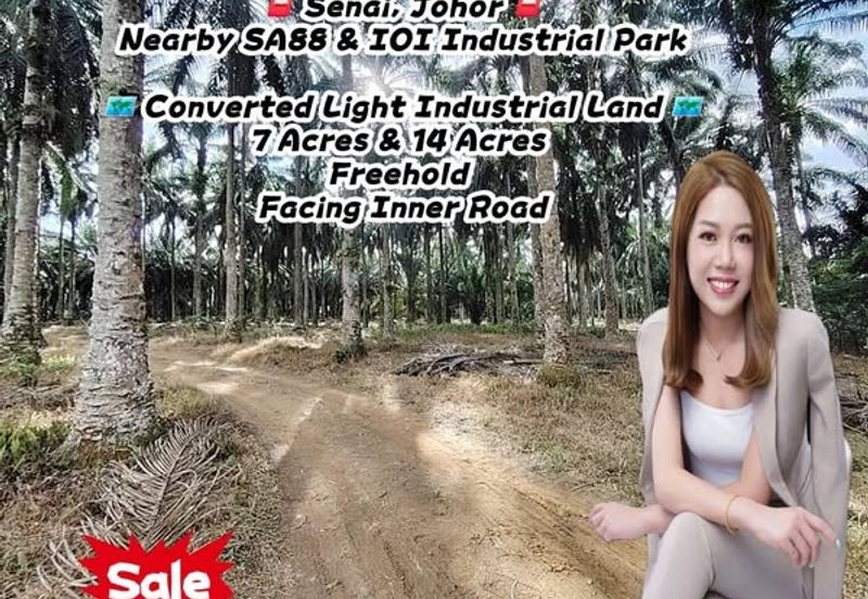 Senai Industrial Park