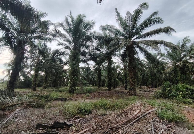 Kawasan Perindustrian Pontian