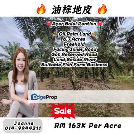 6.7 Acres Oil Palm Land @ Ayer Baloi, Pontian, Johor, Johor, Pontian