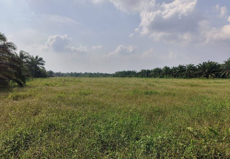 5 Acres Agriculture Land @ Benut, Johor, Pontian