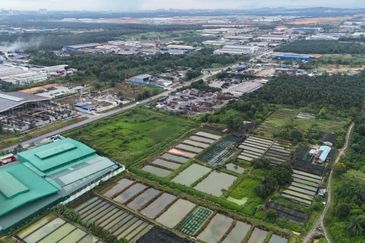 Kampung Seelong Jaya