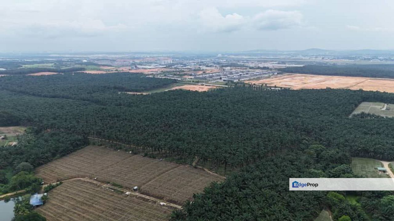 10 Acres Agriculture Land @ Senai, Johor, Near Senai Industry Park, Senai Airport, Johor, Senai