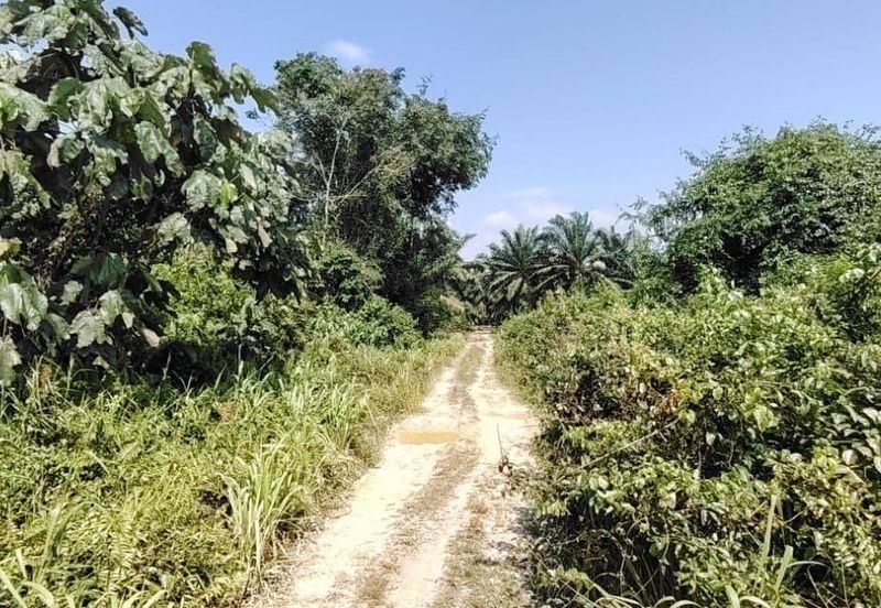 Pekan Nanas Industrial