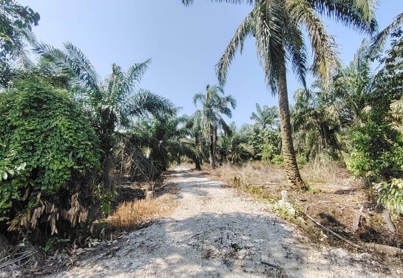 Pekan Nanas Industrial