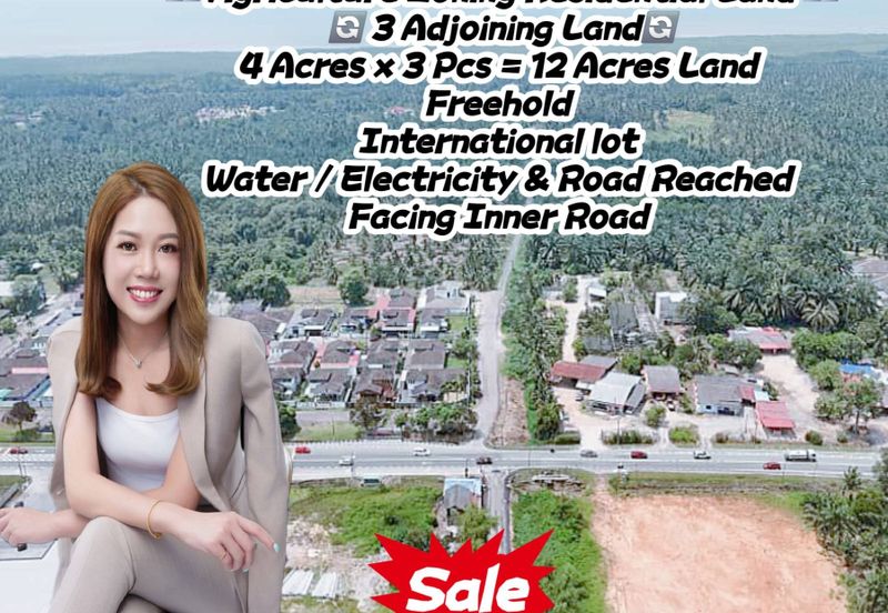 12 Acres (3 Adjoining) Agriculture Zoning Residential Land @ Pontian Api Api, Johor. Near Pontian Besar, Ayer Baloi, Pekan Nanas