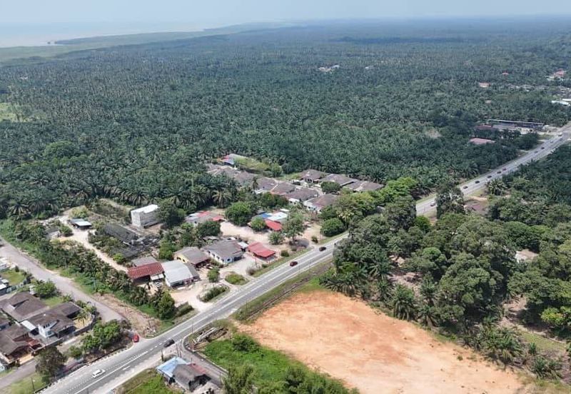 12 Acres (3 Adjoining) Agriculture Zoning Residential Land @ Pontian Api Api, Johor. Near Pontian Besar, Ayer Baloi, Pekan Nanas