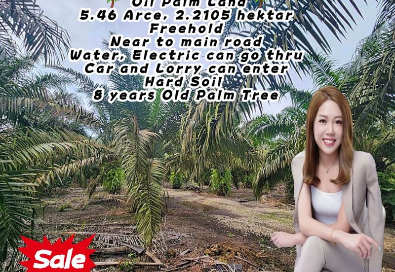 5.46 Acres Oil Palm Land @ Pekan Nanas, Pontian, Johor.