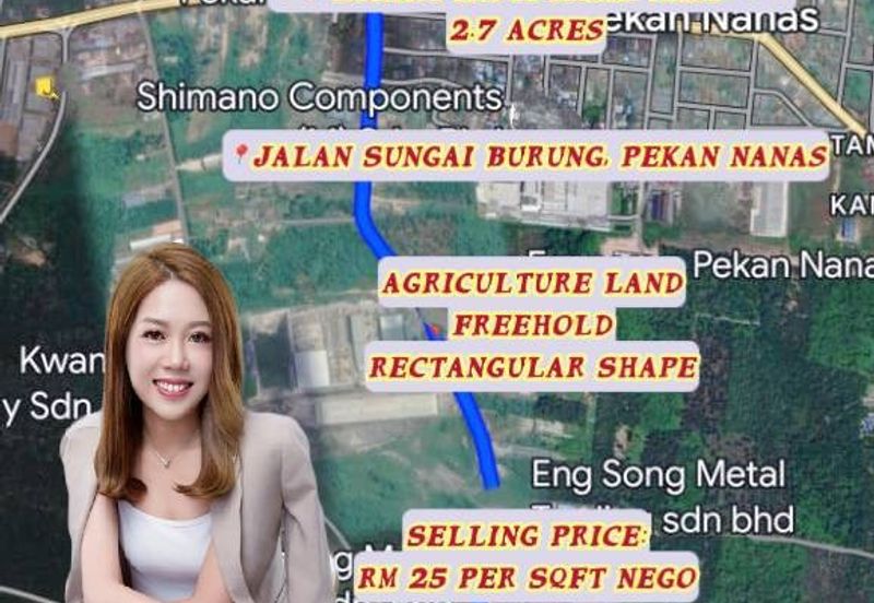 Pekan Nanas Industrial