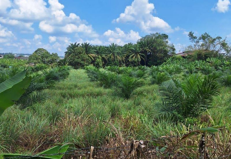 3.74 Acres Agricultural Land @ Kulai, Kelapa Sawit, Johor . Near Township Area, Scientex Kulai, Sedenak