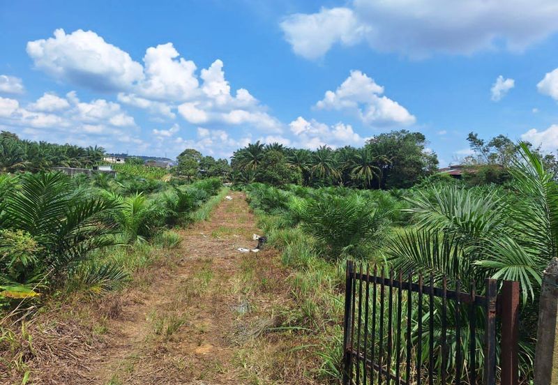 3.74 Acres Agricultural Land @ Kulai, Kelapa Sawit, Johor . Near Township Area, Scientex Kulai, Sedenak
