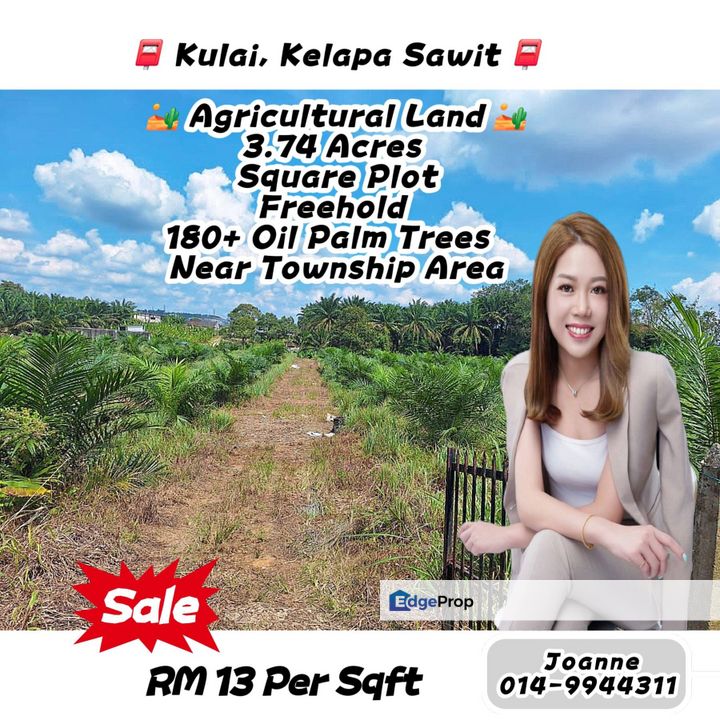 3.74 Acres Agricultural Land @ Kulai, Kelapa Sawit, Johor . Near Township Area, Scientex Kulai, Sedenak, Johor, Kulai