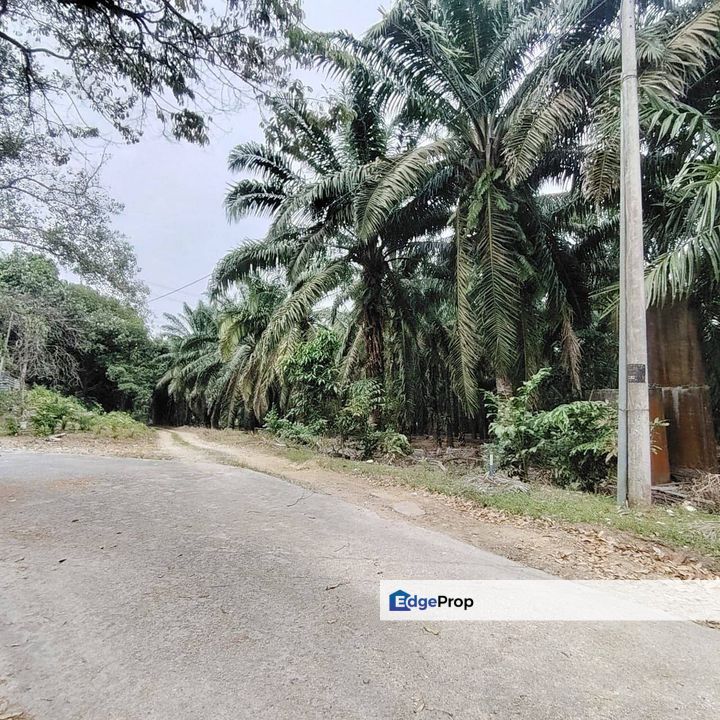 6 Acres Agriculture Zoning Industrial Land @ Sungai Tiram, Ulu Tiram, Johor , Johor, Ulu Tiram