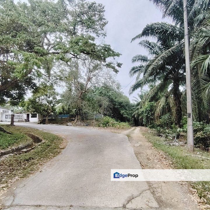 6 Acres Agriculture Zoning Industrial Land @ Sungai Tiram, Ulu Tiram, Johor , Johor, Ulu Tiram