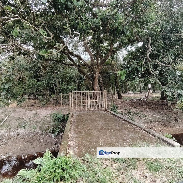 3.5 Acres Agriculture Land @ Parit Sulaiman, Pontian, Johor. Near Ayer Baloi, Johor, Pontian