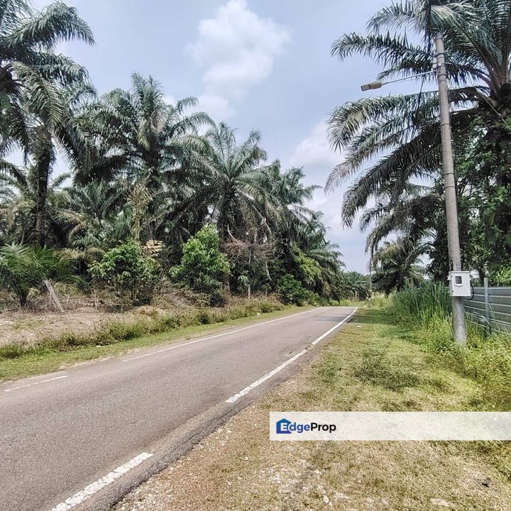 7.5 Acres Oil Palm Agriculture Land @ Simpang Renggam Johor, Johor, Kluang