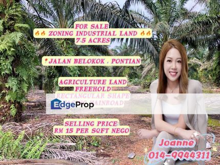 Zoning Industrial, Agriculture Land - Jalan Belokok, Pontian, Johor , Johor, Pontian