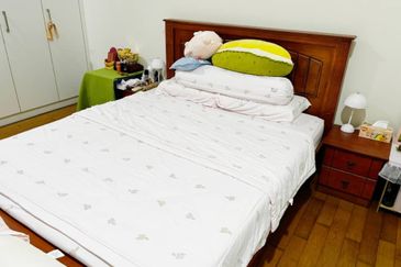 The Seed @ Sutera Utama