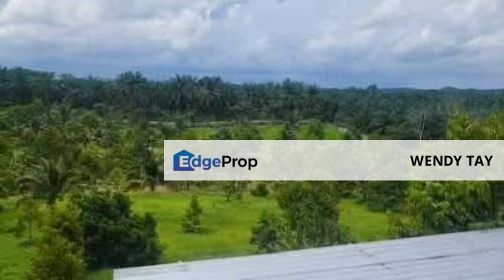 Arricultural Land, Industrial Land, Simpang Renggam Johor, For Sale, Johor, Kluang