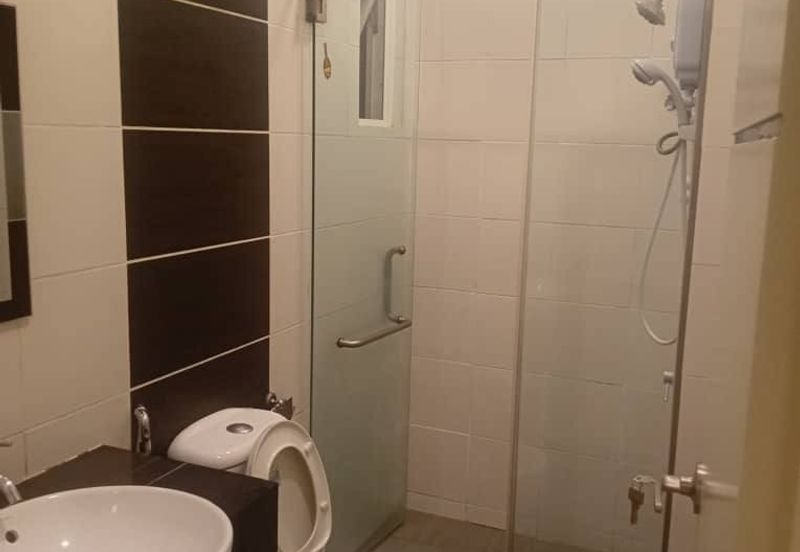 1Medini & Medini Signature