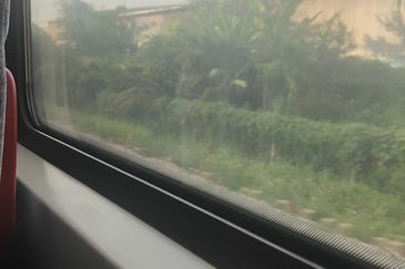 Country Garden Central Park Phase 1