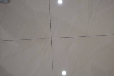 The Seed @ Sutera Utama