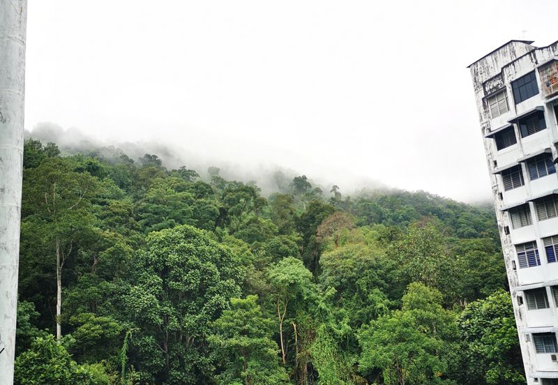 Taman Terubong Indah (Majestic Heights)