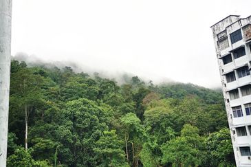 Taman Terubong Indah (Majestic Heights)