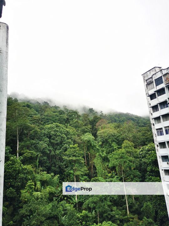 For rent Majestic Heights, Paya terubong, green garden renovation, high floor kitchen cabinet, Penang, Paya Terubong