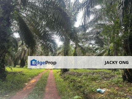 Pahang, Rompin, Muadzam Shah, Individual Title, 5075 acres Palm Oil Land For Sale, Pahang, Daerah Rompin