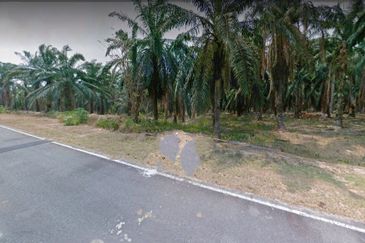 Kuala Pilah, Kuala Pilah, Negeri Sembilan, 475 acres Palm Oil Land For Sale