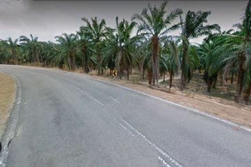 Kuala Pilah, Kuala Pilah, Negeri Sembilan, 475 acres Palm Oil Land For Sale