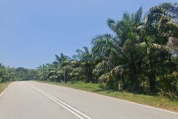 Kuala Pilah, Kuala Pilah, Negeri Sembilan, 475 acres Palm Oil Land For Sale