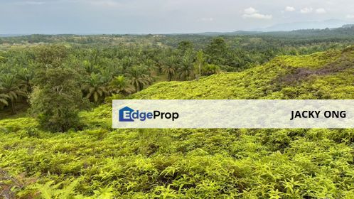 Kulai, Kulai, Johor, 1230 acres Mix Deverlopment Palm Oil Land for SALE, Johor, Kulai