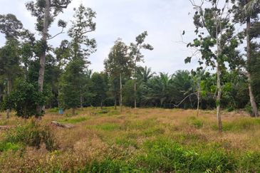 Muar Pulau Penarik 2.62 acres Agricultural Land with Durian Trees for sales