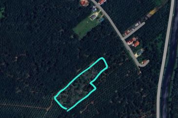 Muar Pulau Penarik 2.62 acres Agricultural Land with Durian Trees for sales