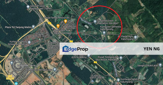 [CHEAP] Freehold Agricultural Land for Sale at Kalumpang, Kerling, Selangor, Kerling