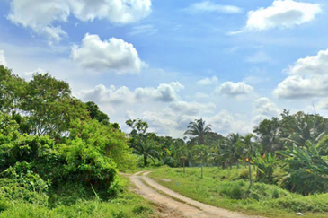 Bandar Baru Salak Tinggi