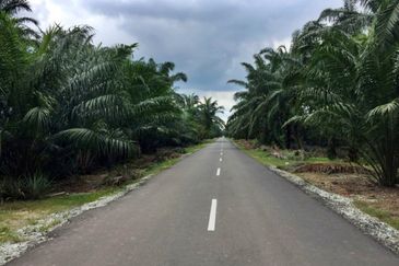 Cheap Agriculture land for Sale @ Telok Panglima Garang, Klang